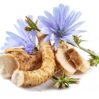 chicory_root